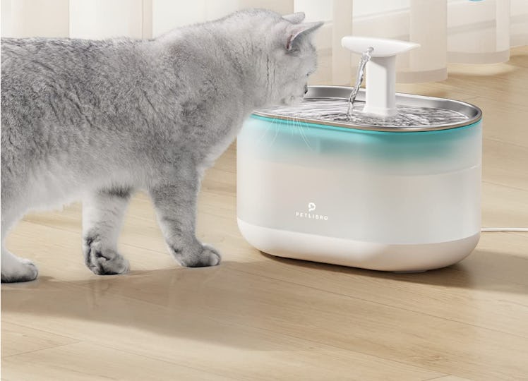 PETLIBRO Cat Water Fountain