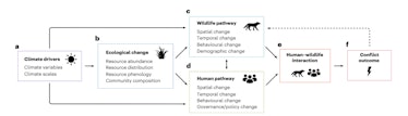 Visual framework from the study