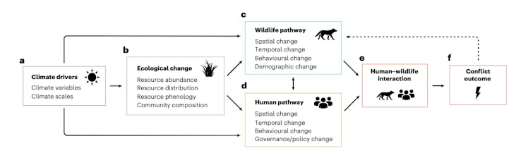 Visual framework from the study