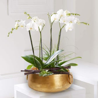 Serene Spaces Decorative Gold Iron Bowl
