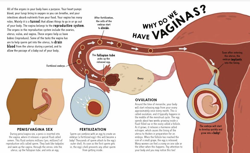 An illustration of sex from the book We Need to Talk About Vaginas.