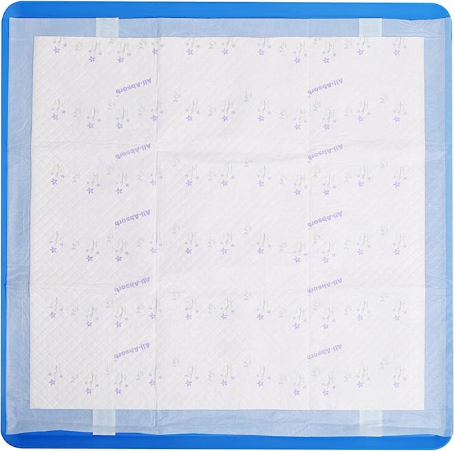 HONEY CARE All-Absorb Large Silicone Pad Holder