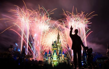 The VIP tours at Disney World are worth it for the special viewing areas during the fireworks and pr...