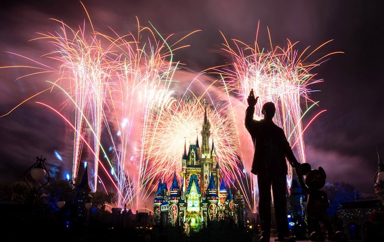 The VIP tours at Disney World are worth it for the special viewing areas during the fireworks and pr...