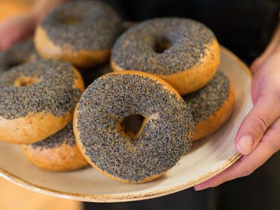Eating culinary poppy seeds won’t get you high, but they could lead to a failed drug test. 