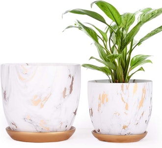 PETSWI Ceramic Plant Pots (Set of 2) 