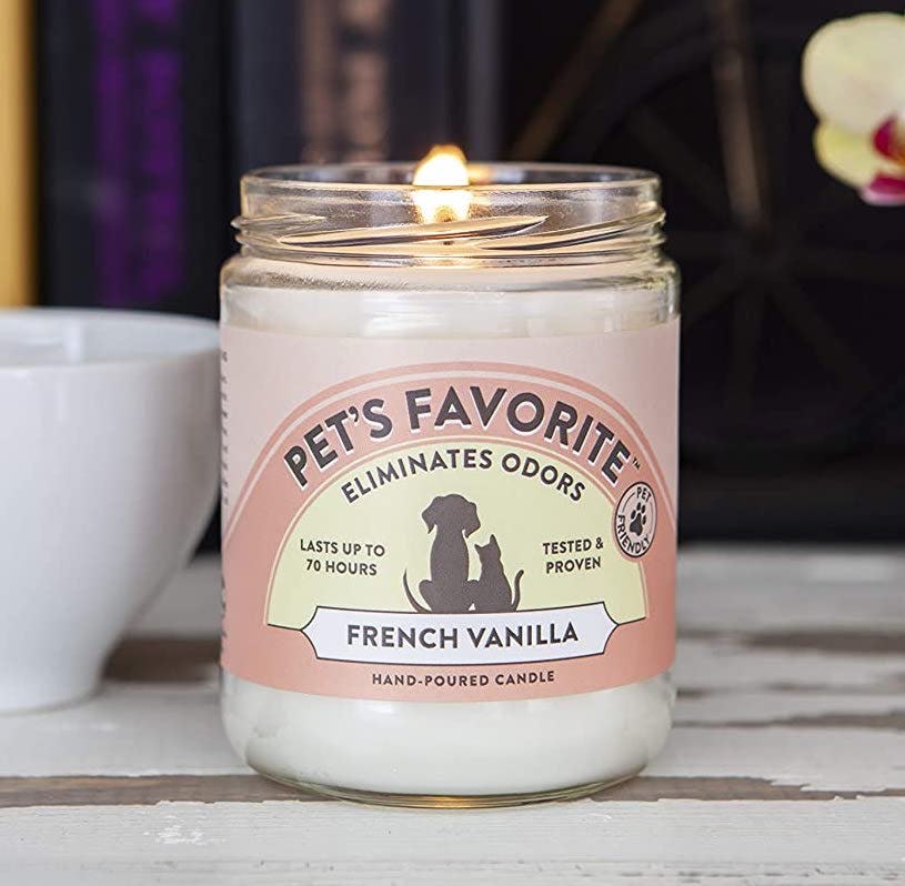 The 8 Best OdorEliminating Candles