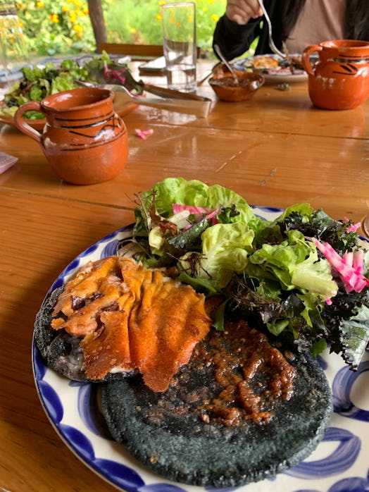 The quesadillas at Arca Tierra farm, which supplies produce to Pujol and other Mexico City restauran...