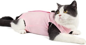 This cat cone alternative is a recovery suit that shields torso wounds.