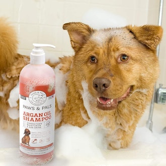 Paws & Pals Natural Oatmeal Dog Shampoo and Conditioner