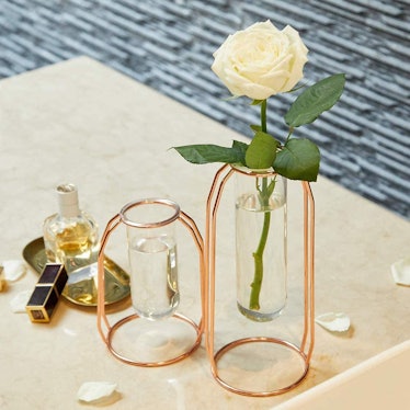 Lutingstore Flower Vases with Iron Art Frame