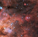 狼蛛星云(也被称为剑鱼座30号)的快照出现在这张来自NAS的图像中。