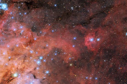 A snapshot of the Tarantula Nebula (also known as 30 Doradus) is featured in this image from the NAS...