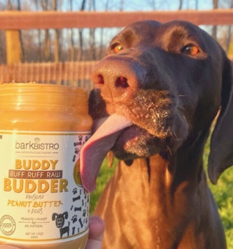 BUDDY BUDDER Dog Peanut Butter (17 oz)