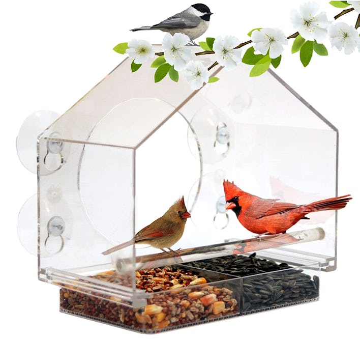 Nature Anywhere Plastic Window Bird Feeder