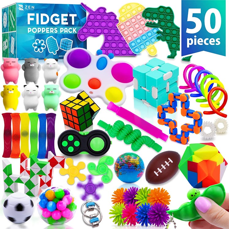 Zen Laboratory Fidget Toys (50-Pack)