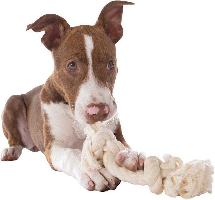  Mammoth Pet Products Cotton Rope Bone
