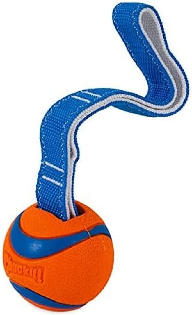  Chuckit! Ultra Tug & Fetch Dog Toy