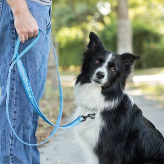 Leashboss 6 Ft Dog Leash