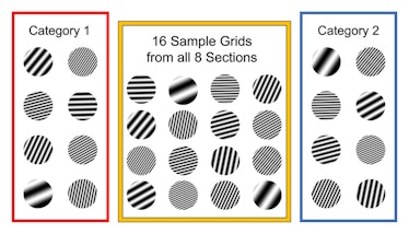 Patterned dots split into three categories