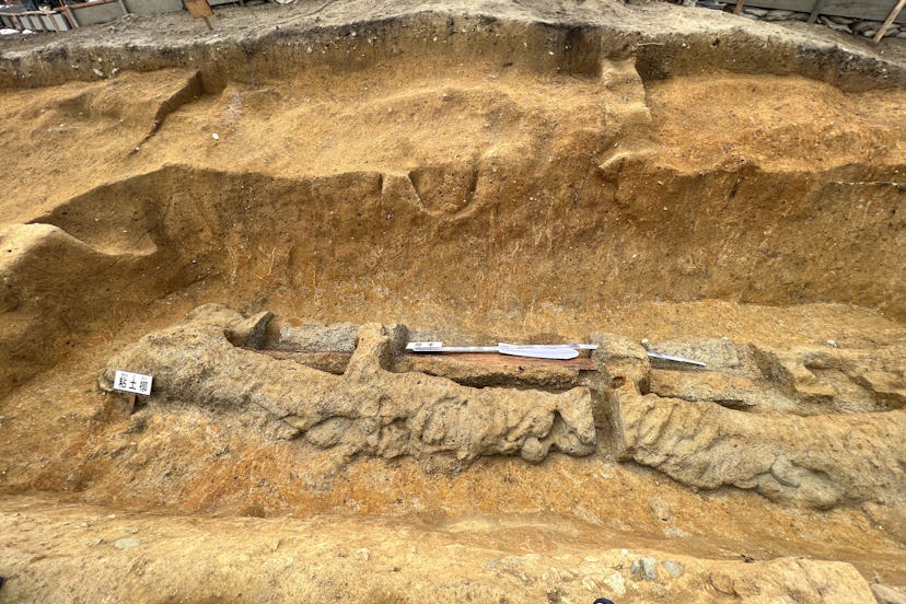 The replica is the same undulating shape and size as the original dakō sword. Archaeologists think i...