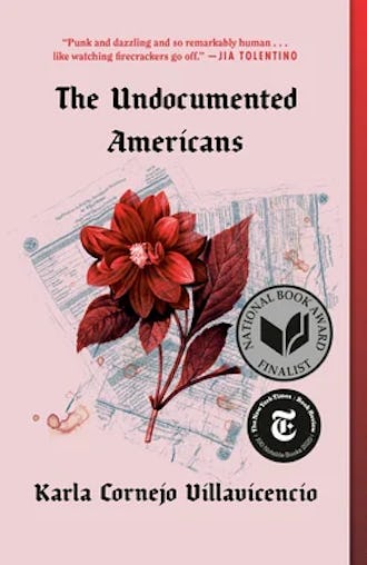 best fiction books for 30 year old woman The Undocumented Americans by Karla Cornejo Villavicenio.