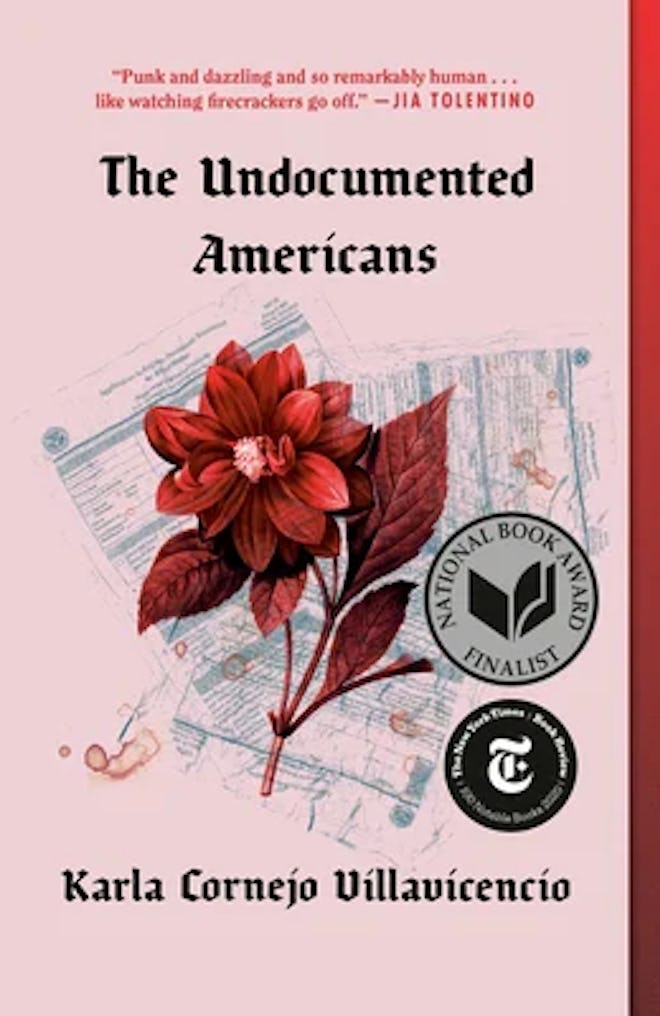 The Undocumented Americans by Karla Cornejo Villavicenio.