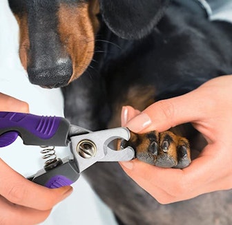 Hertzko Professional Pet Nail Clipper 