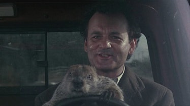Groundhog Day Bill Murray