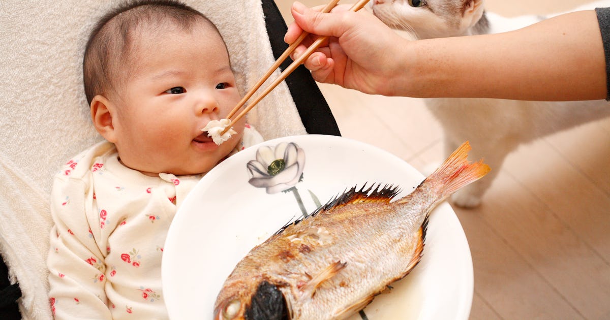 Treat yourself to a delicious fish meal with Mrs Crunch's easy recipes The Sun