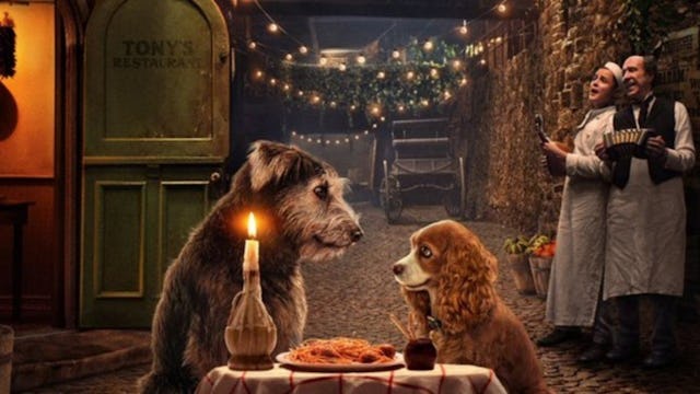 The live-action 'Lady & the Tramp' is a great Valentine's Day movie for kids.