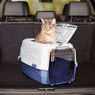 This cat carrier for nervous cats is detachable for vet visits and has a top door
