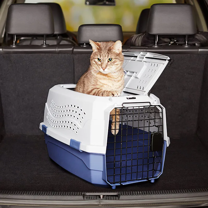 The 5 Best Cat Carriers For Nervous Cats