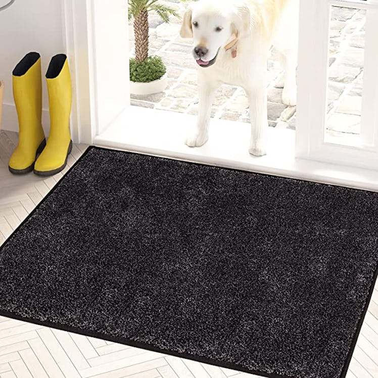 PURRUGS Dirt Trapper Door Mat