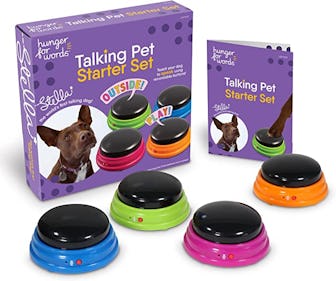 Hunger for Words Talking Pet Starter Set (4-Pieces)