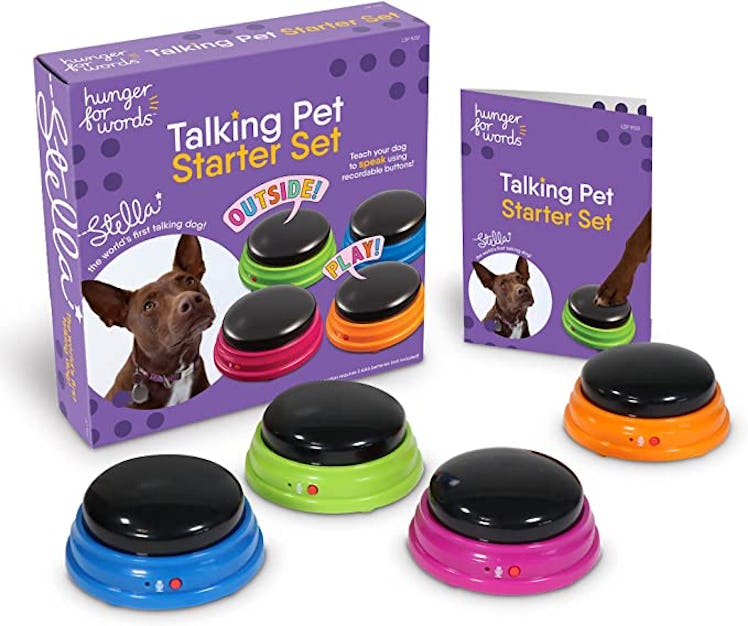 Hunger for Words Talking Pet Starter Set