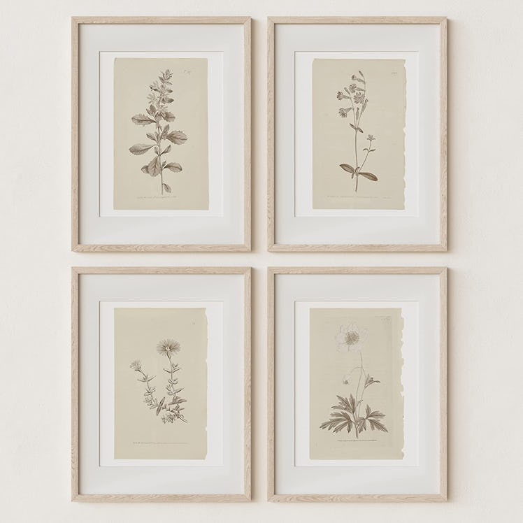 Sandstone & Sage Botanical Wall Prints (Set of 4)