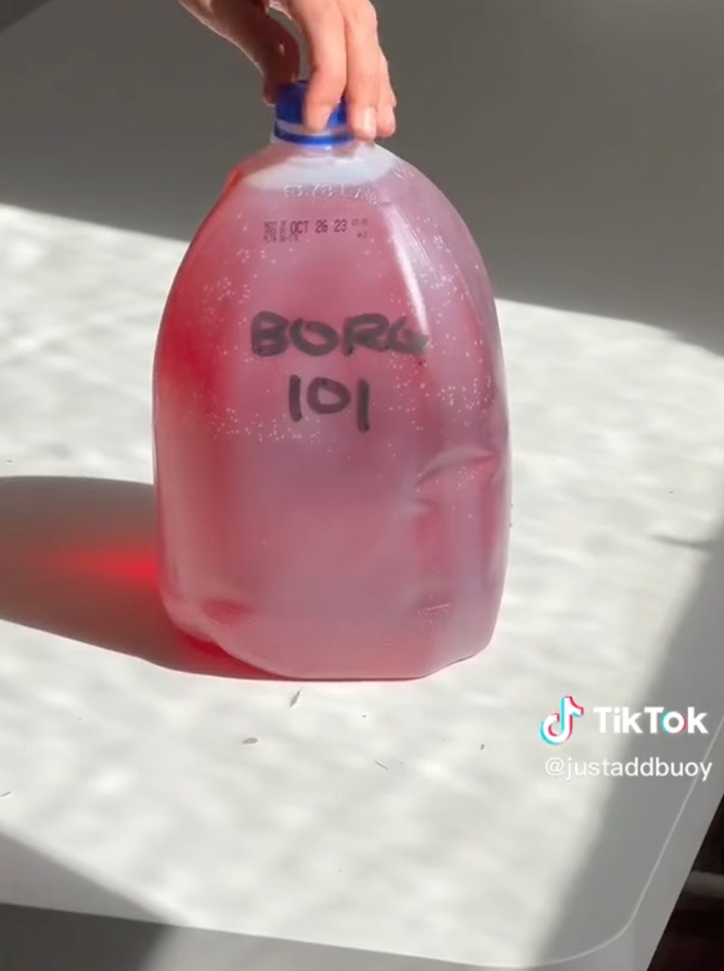 What is a Borg Drink? Inside Gen Z's Gallon Jug Drink of Choice