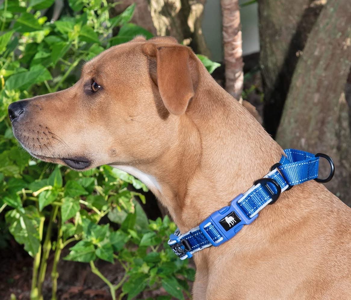 Leashboss Reflective Martingale Collar