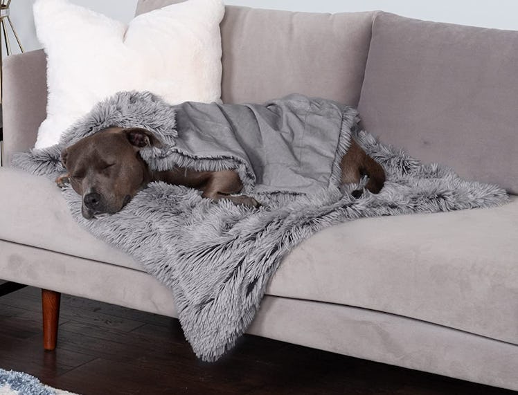 Furhaven Waterproof Pet Blanket