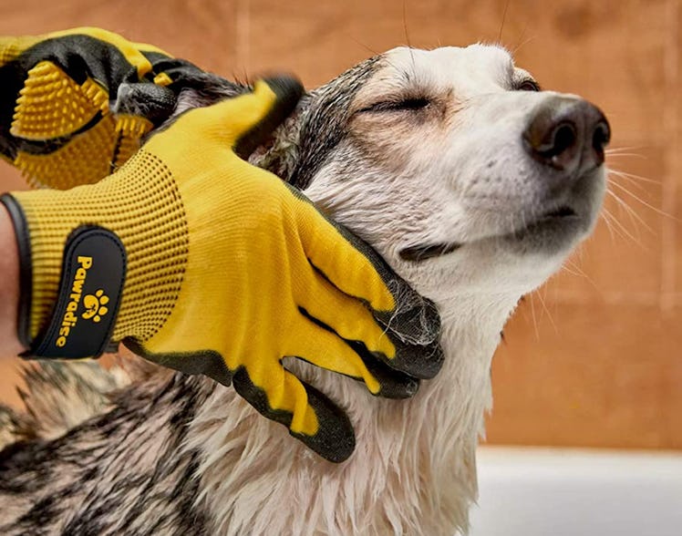 Pawradise Pet Grooming and Bathing Gloves