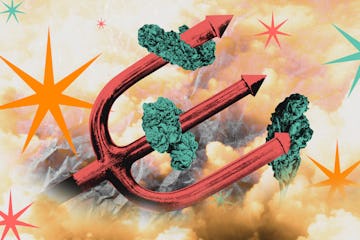 魔鬼的干草叉刺穿大麻花蕾的拼贴画。