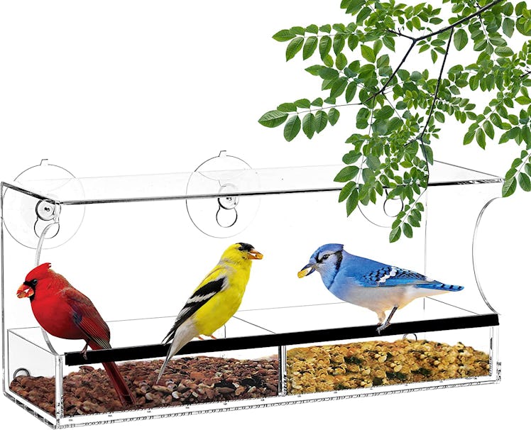 Nature's Hangout Window Bird Feeders 