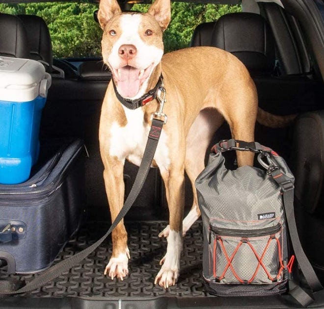 Leashboss KibbleGo Pet Food Travel Bag