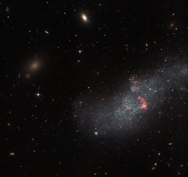 in the left half of the image, a streak of blue stars contains a few red bubbles of gas