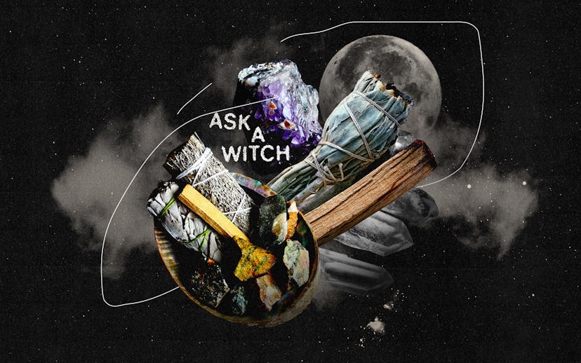 Sacred Plants & Sustainability: A Witch’s Guide