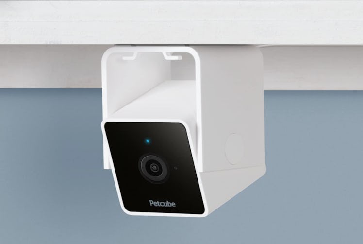 Petcube Pet Monitoring Camera