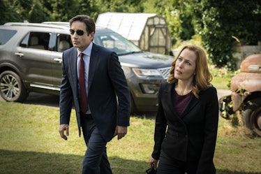 Mulder and Scully return.