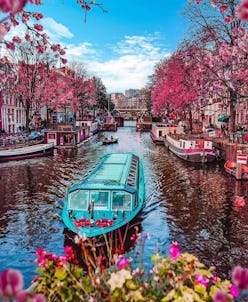 amsterdam travel guide