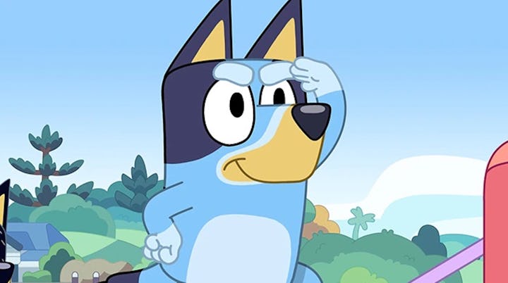Bluey looking around.